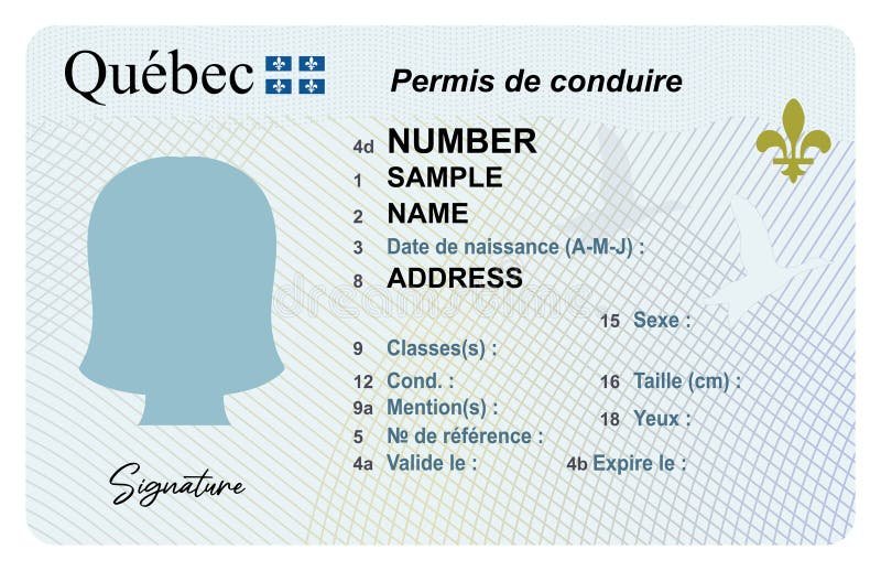 permis de conduire 6