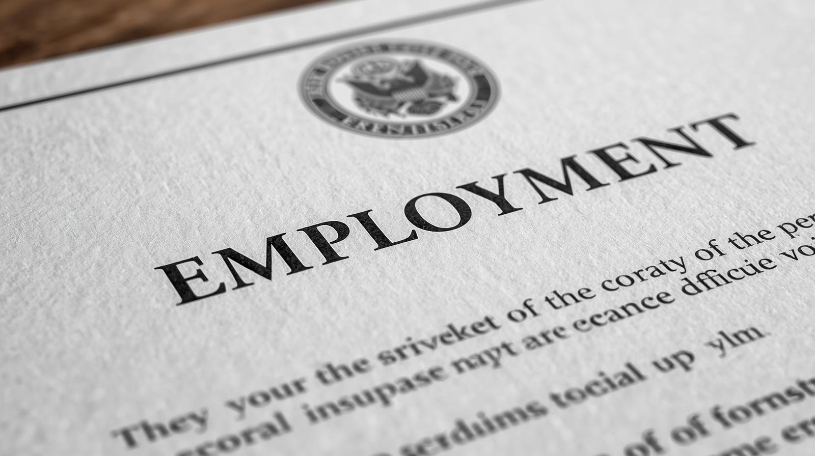 gros plan sur un document officiel représentant un relevé d’emploi, nécessaire pour faire une demande d’assurance emploi.